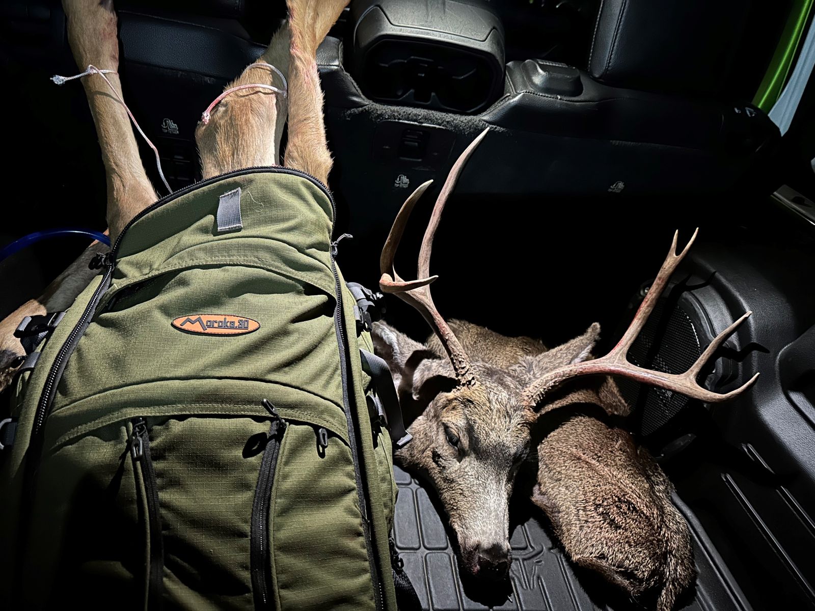 ANdy Winn M30 Hunt Blog Moroka.30