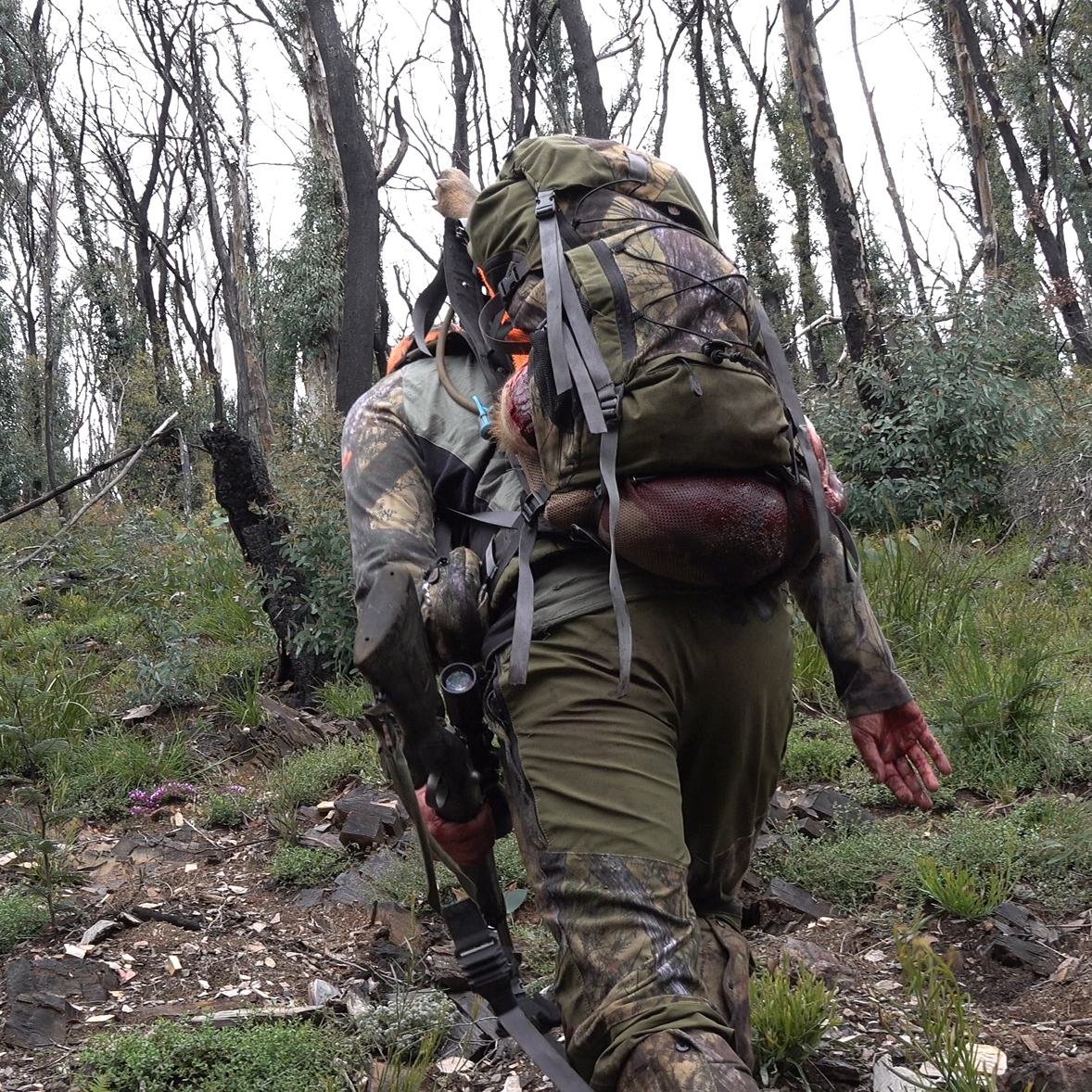 Moroka.30 Custom Stalker loaded with Deer pack out