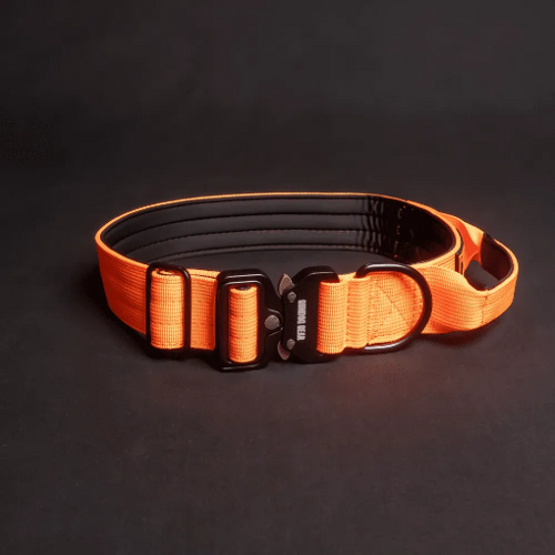 Gundog Gear Tactical Collar with Handle - Blaze Orange