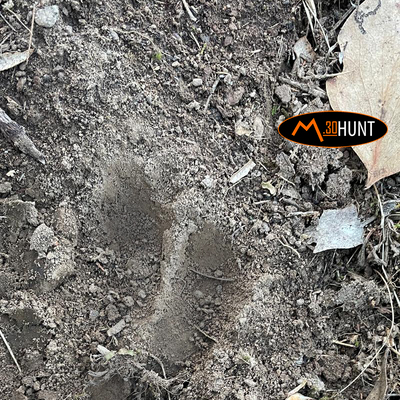 Hunting Tips image