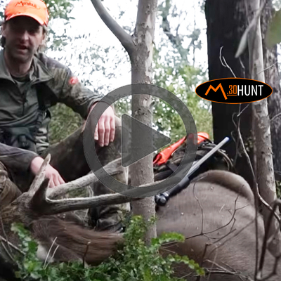Sambar Rafting Hunt Part 2 image