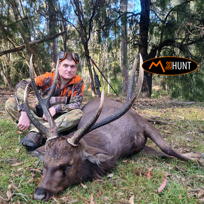 James Cartwright and Son Stag image