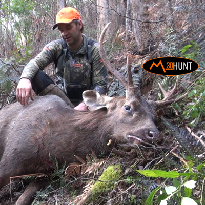 How to Pack Out a Deer in the Bush  image